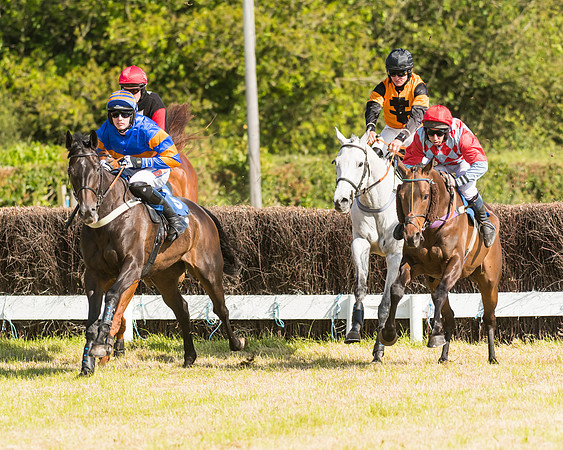 Race 6 - Open Maiden (25 of 74)