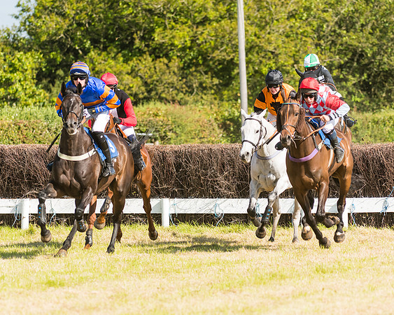 Race 6 - Open Maiden (26 of 74)