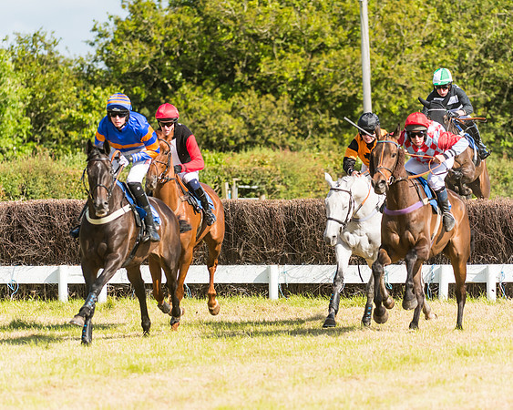 Race 6 - Open Maiden (27 of 74)