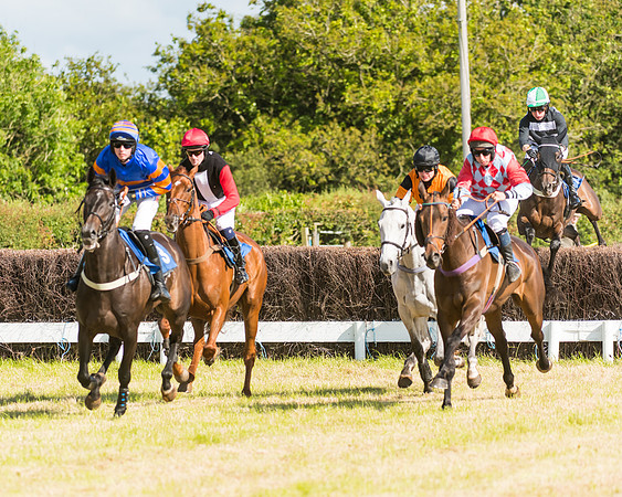 Race 6 - Open Maiden (28 of 74)