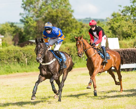 Race 6 - Open Maiden (29 of 74)