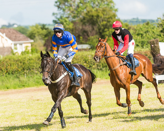 Race 6 - Open Maiden (30 of 74)