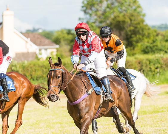 Race 6 - Open Maiden (31 of 74)