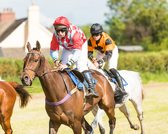 Race 6 - Open Maiden (32 of 74)