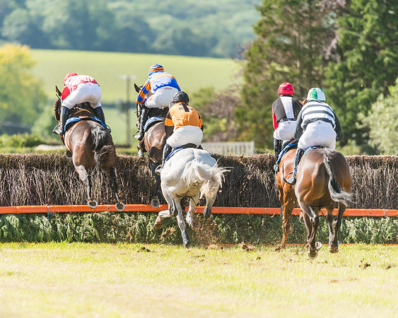 Race 6 - Open Maiden (33 of 74)