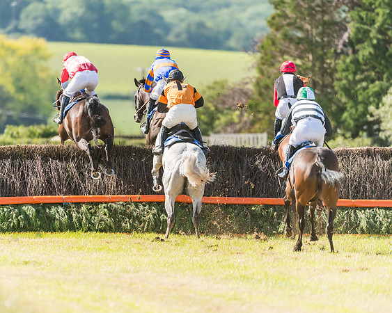 Race 6 - Open Maiden (34 of 74)