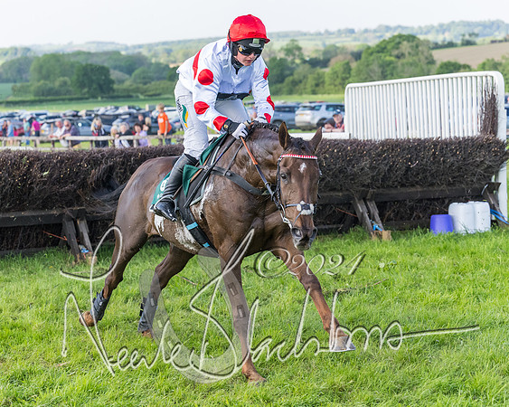 Race 7 - Veteran Horse (103 of 246)