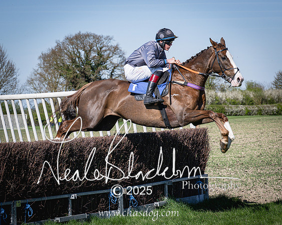 Race 5 - The restricted (55 of 113)
