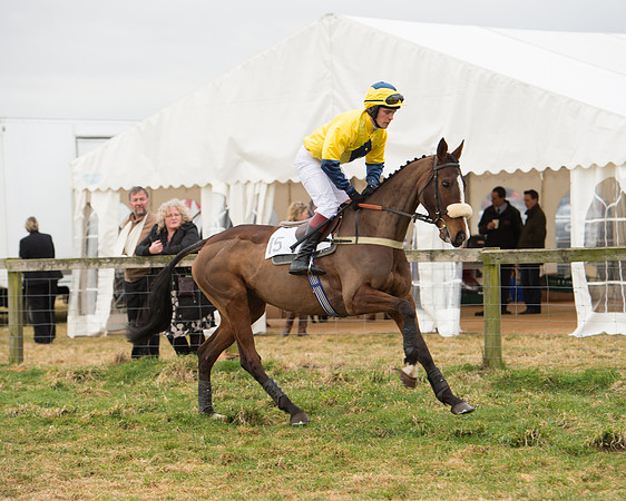 Race 6 - Open Maiden (43 of 100).jpg