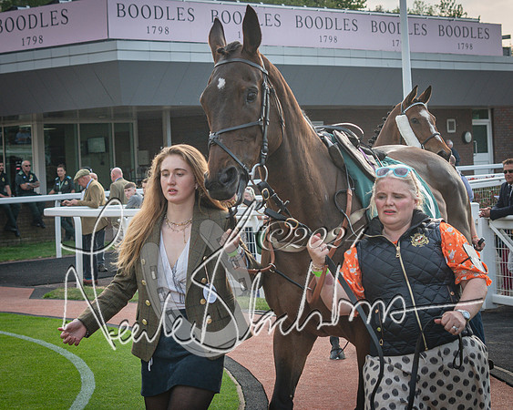 Race 5 - Mares Open Hunter Steeplechase 3m2f 70y (13 of 269)