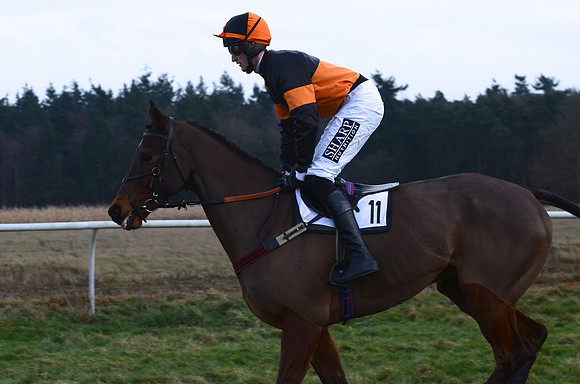 Novice Riders 23