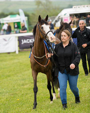 Pony Race 2 (2 of 113)