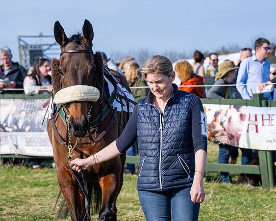 Race 5 - PPORA Five years and over (17 of 163)