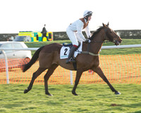 Race 7 - Novice Riders Race (5 of 145).jpg