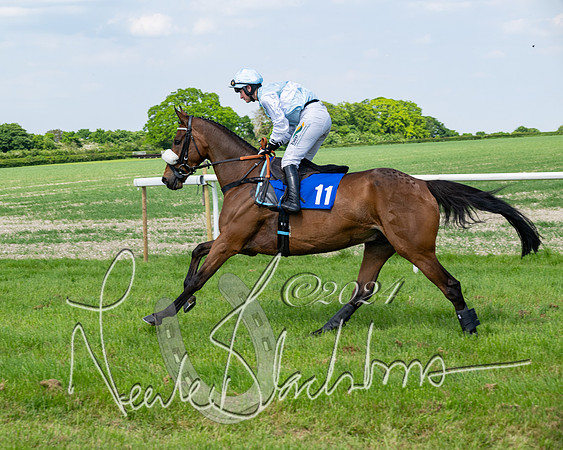 Race 3 - Ladies Open  (64 of 133)