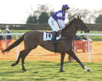 Race 7 - Novice Riders Race (10 of 145).jpg