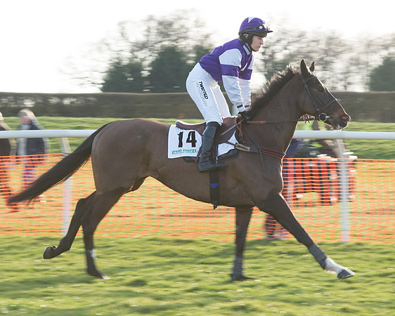Race 7 - Novice Riders Race (10 of 145).jpg