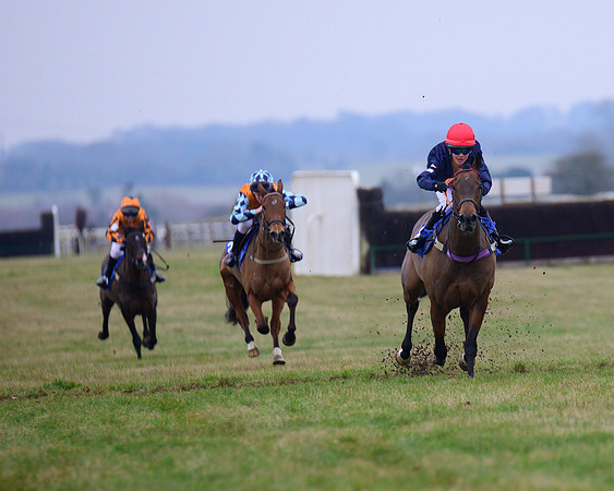 Pony Race 3 - 148cm Open  (32 of 143)