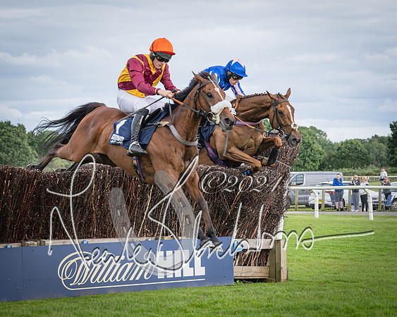 Race 1 - Pointing Pointers Restricted Final (48 of 79)