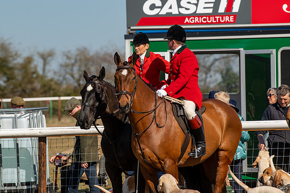Hunt Horses annd Hound parade (20 of 44)