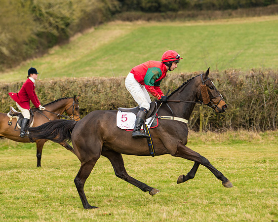 Race 3 - Restricted  (4 of 100)