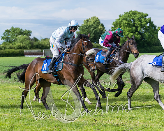 Race 5 - Restricted Race (211 of 434)