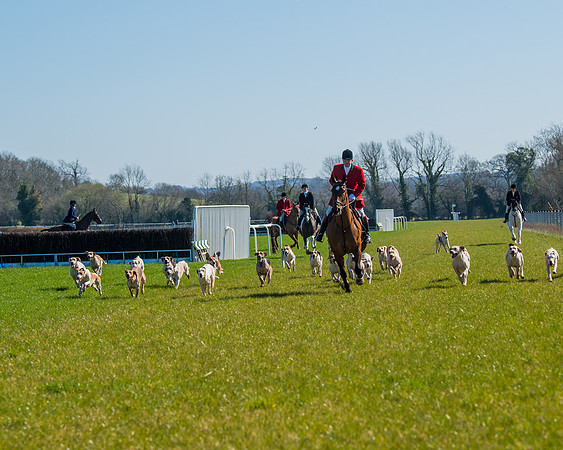 Hunt Horses annd Hound parade (31 of 44)