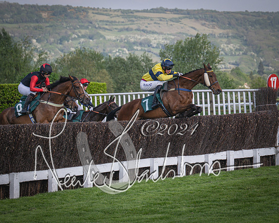Race 2 - The Venatour sports travel intermediate point to point hunters’ steeplechase 5 year olds and over 3m2f (40 of 163)