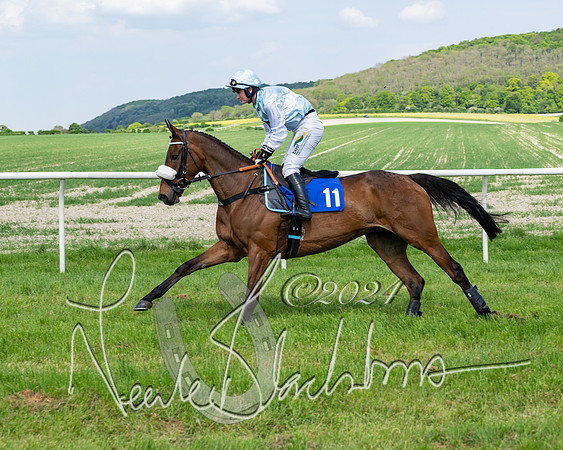 Race 3 - Ladies Open  (62 of 133)