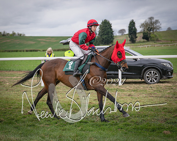 Race 6 - The Restricted Race (13 of 101)