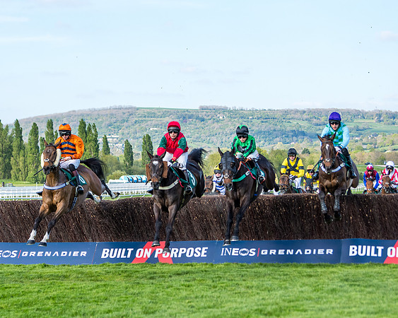 Race 2  -  Intermediate Point to Point Hunters' Steeple Chase (86 of 277)