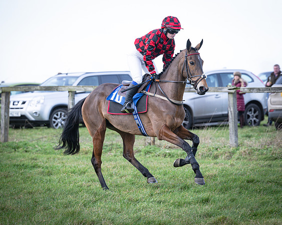 Race 2 - Maiden (42 of 145)