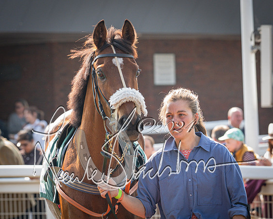 Race 1 - The Bottle Green Open Hunters steeplechase 2m62y (3 of 93)