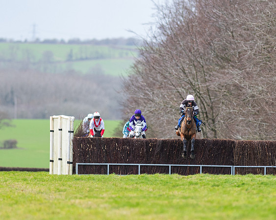 Race 2 - The Maiden Race (5 of 99)