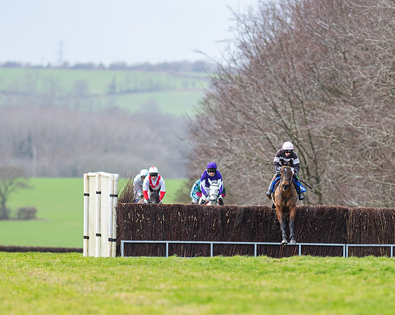 Race 2 - The Maiden Race (6 of 99)