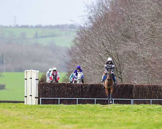 Race 2 - The Maiden Race (7 of 99)