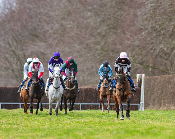 Race 2 - The Maiden Race (10 of 99)