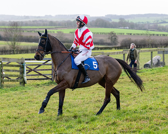 Race 3 - The PPORA Novice Riders (3 of 239)