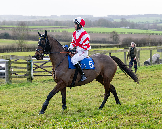Race 3 - The PPORA Novice Riders (4 of 239)