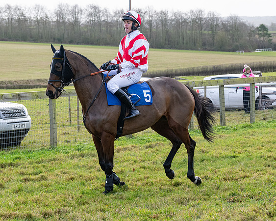 Race 3 - The PPORA Novice Riders (6 of 239)