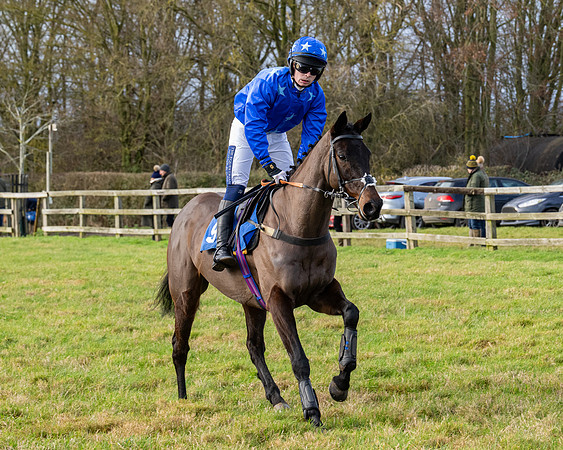 Race 3 - The PPORA Novice Riders (16 of 239)