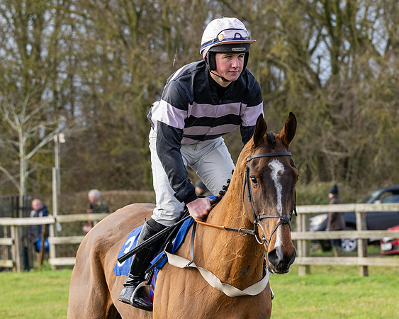 Race 3 - The PPORA Novice Riders (29 of 239)