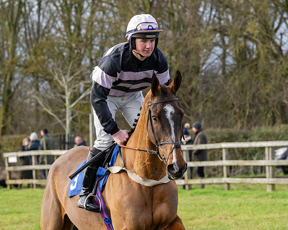 Race 3 - The PPORA Novice Riders (28 of 239)