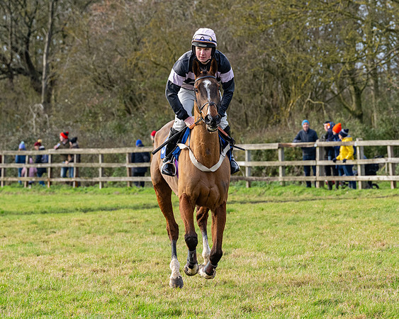 Race 3 - The PPORA Novice Riders (26 of 239)