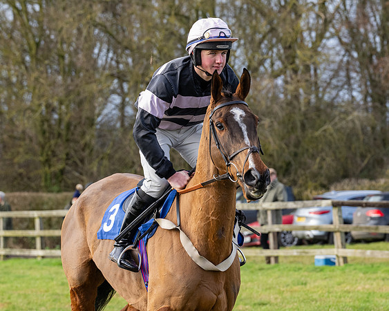 Race 3 - The PPORA Novice Riders (30 of 239)