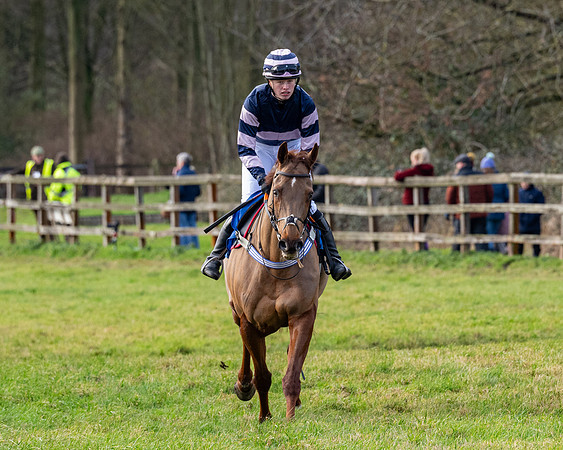 Race 3 - The PPORA Novice Riders (31 of 239)