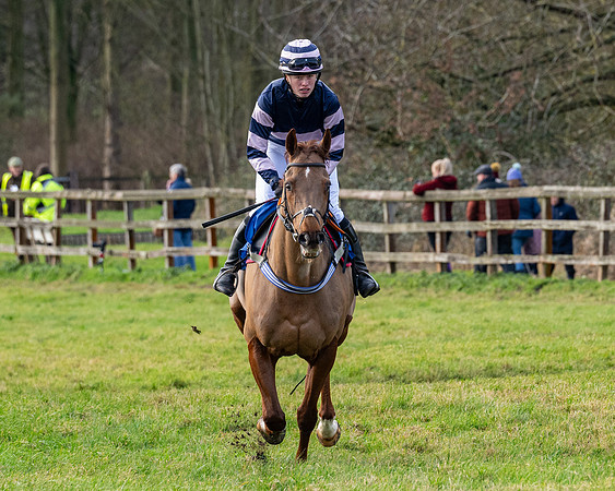 Race 3 - The PPORA Novice Riders (32 of 239)