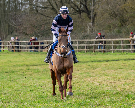 Race 3 - The PPORA Novice Riders (35 of 239)