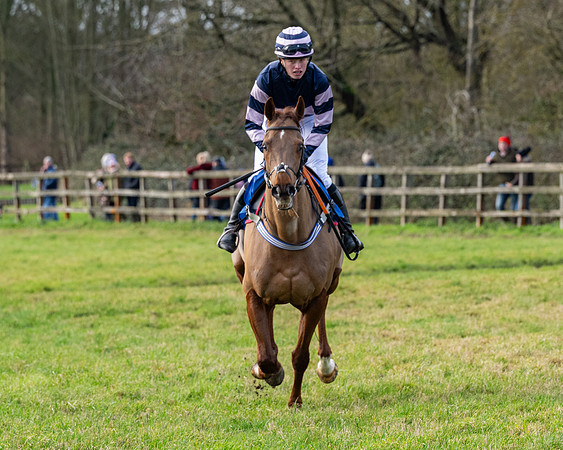 Race 3 - The PPORA Novice Riders (33 of 239)