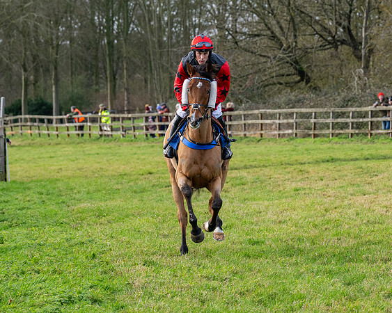 Race 3 - The PPORA Novice Riders (54 of 239)